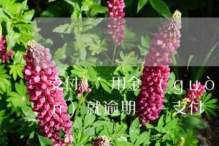 支付寶備用金過(guò)了7點(diǎn)就逾期嗎-支付寶備用金過(guò)了7點(diǎn)就逾期嗎怎么辦