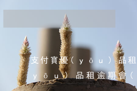 支付寶優(yōu)品租逾期-支付寶優(yōu)品租逾期會(huì)起訴嗎