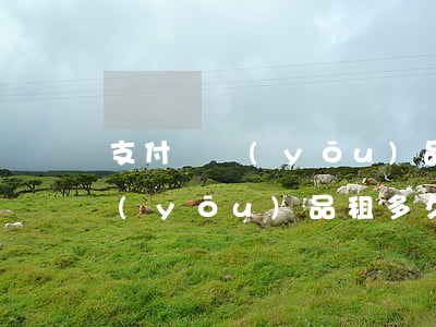 支付寶優(yōu)品租逾期影響征信嗎 優(yōu)品租多久上征信