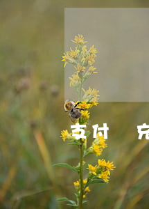 支付寶充值卡逾期-支付寶逾期充錢秒扣