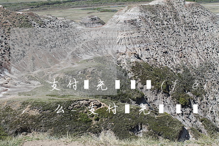 支付寶充錯話費(fèi)可以起訴受益方么-支付寶充錯話費(fèi)投訴退回嗎
