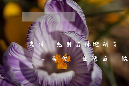 支付寶先用后付逾期了會(huì)上征信嗎-支付寶逾期后還款了,會(huì)影響征信嗎