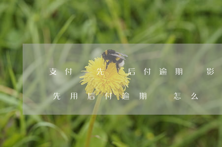 支付寶先買后付逾期會影響信用嗎-支付寶先用后付逾期會怎么樣