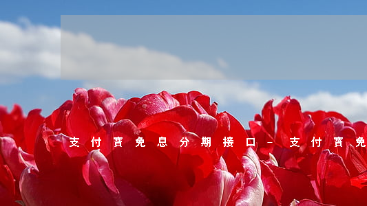 支付寶免息分期接口-支付寶免息分期接口