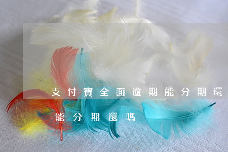 支付寶全面逾期能分期還嗎 支付寶全面逾期能分期還嗎