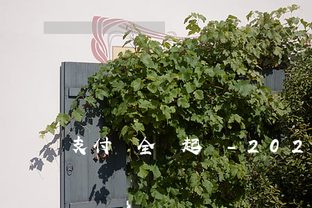 支付寶全額起訴-2021年支付寶起訴