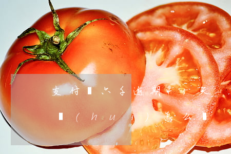 支付寶六千逾期45天-支付寶逾期46天會(huì)怎么樣