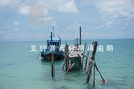 支付寶再分期再逾期
