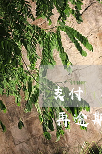 支付寶再逾期全部還清后征信記錄-支付寶再逾期全部還清后征信記錄會消除嗎