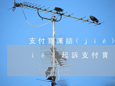 支付寶凍結(jié)起訴 支付寶凍結(jié)起訴支付寶