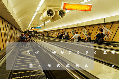 支付寶分期7000逾期(支付寶分期逾期了第一期快逾期三個(gè)月了)