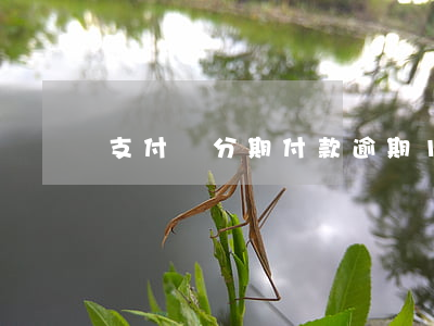 支付寶分期付款逾期10天可以嗎