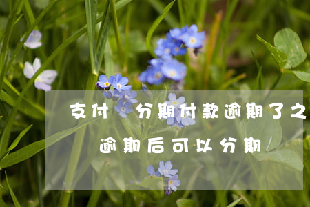 支付寶分期付款逾期了,之后還能分期嗎（支付寶逾期后可以分期嗎）