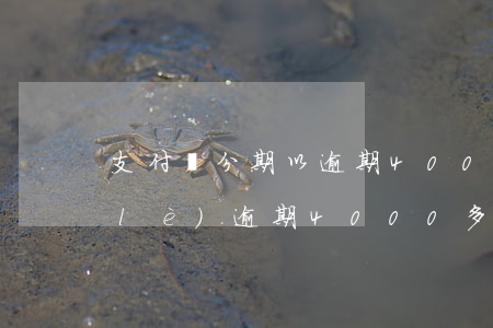 支付寶分期以逾期4000元(分期付款樂(lè)逾期4000多)