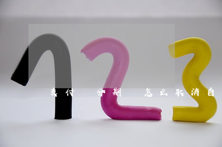 支付寶分期樂怎么取消自動還款-
