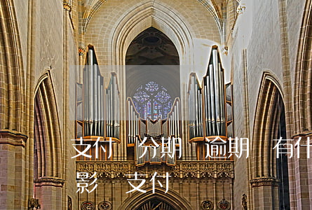 支付寶分期樂逾期會有什么后果(分期樂逾期影響支付寶)