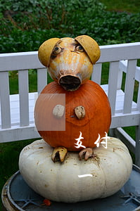 支付寶分期跟逾期一樣嗎(支付寶分期跟逾期一樣嗎)