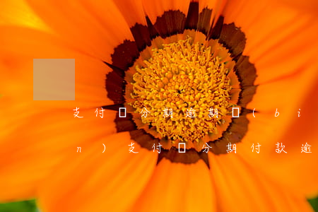 支付寶分期逾期標(biāo)準(zhǔn)(支付寶分期付款逾期兩天可以嗎)