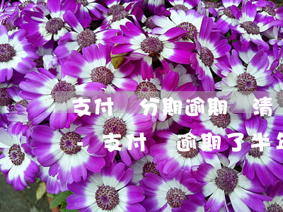 支付寶分期逾期還清當(dāng)前逾期-支付寶逾期了半年了,還能分期還嗎