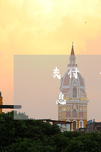 支付寶分期還款有免息(支付寶分期還款有免息)