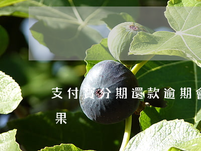 支付寶分期還款逾期會(huì)有什么后果