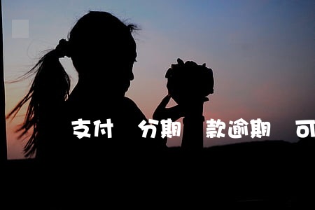 支付寶分期還款逾期還可以分期嗎