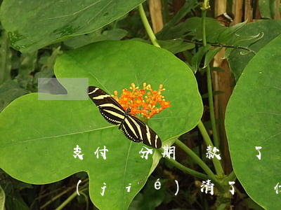 支付寶分期還款還了還是逾期(支付寶逾期結(jié)清了為什么來分期還是借不了)