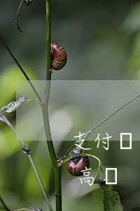 支付寶利息過(guò)高（支付寶利息逾期高嗎）