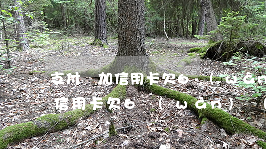 支付寶加信用卡欠6萬(wàn) 支付寶加信用卡欠6萬(wàn)會(huì)怎樣