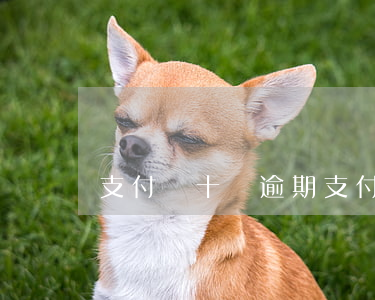 支付寶十萬逾期（支付寶10萬逾期會坐牢嗎）