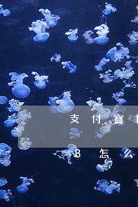 支付寶協(xié)商叫我還本金(95188怎么協(xié)商只還本金)