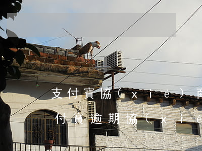 支付寶協(xié)商后2次分期又逾期(支付寶逾期協(xié)商二次分期)