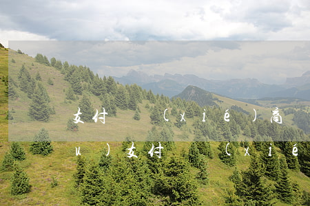 支付寶協(xié)商機(jī)構(gòu)(支付寶協(xié)商打哪個(gè)電話)