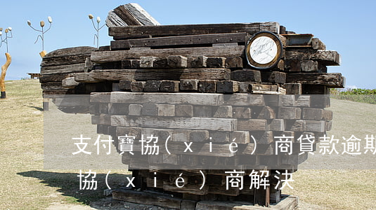 支付寶協(xié)商貸款逾期(支付寶逾期協(xié)商解決)