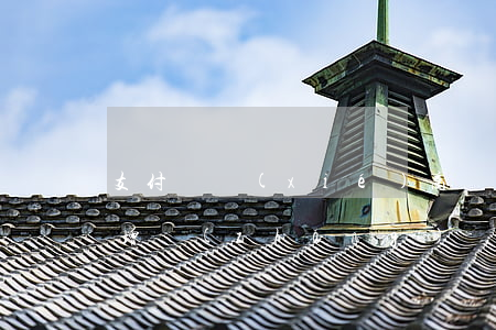 支付寶協(xié)商還款后利息怎么還在增長(zhǎng)-支付寶協(xié)商還款成功
