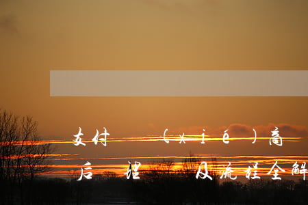 支付寶協(xié)商還款憑證：含義、提交后處理時間及流程全解析