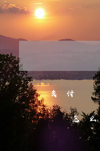 支付寶協(xié)商還款應(yīng)該怎么描述情況-支付寶協(xié)商還款應(yīng)該怎么描述情況呢