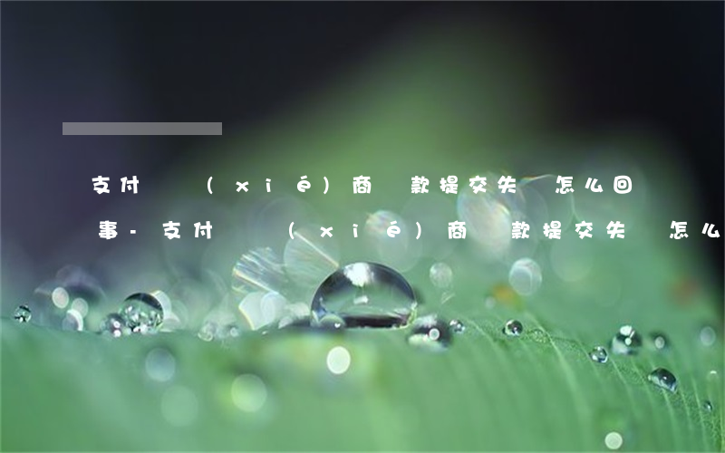 支付寶協(xié)商還款提交失敗怎么回事-支付寶協(xié)商還款提交失敗怎么回事啊