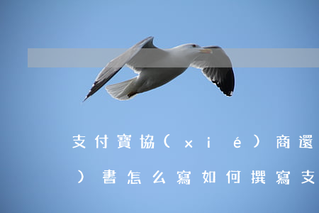 支付寶協(xié)商還款申請(qǐng)書怎么寫，如何撰寫支付寶協(xié)商還款申請(qǐng)書？步驟詳解