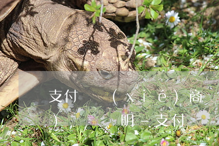 支付寶協(xié)商還款說讓社區(qū)開個證明-支付寶協(xié)商還款說讓社區(qū)開個證明是真的嗎