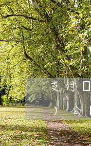 支付寶協(xié)商還款還到對(duì)公銀行賬號(hào)-支付寶協(xié)商還款還到對(duì)公銀行賬號(hào)怎么辦