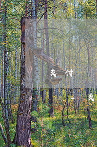 支付寶協(xié)商還款還可以正常使用嗎-支付寶協(xié)商還款還可以正常使用嗎安全嗎