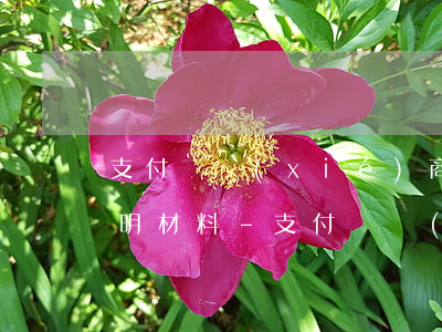 支付寶協(xié)商還款需要提供什么證明材料-支付寶協(xié)商還款需要提供什么證明材料呢