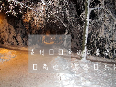 支付寶協商逾期需要開具停薪證明-支付寶協商逾期需要開具停薪證明書嗎