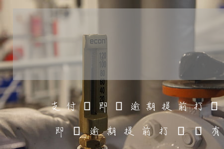 支付寶即將逾期提前打電話有用嗎-支付寶即將逾期提前打電話有用嗎安全嗎