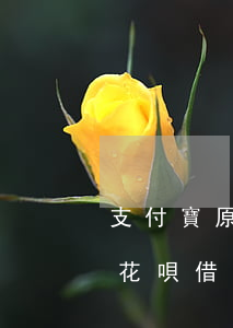 支付寶原因導致花唄借唄逾期-有被支付寶花唄借唄逾期起訴的嗎?