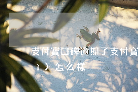支付寶口碑逾期了 支付寶逾期的話會(huì)怎么樣