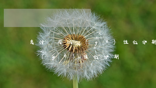 支付寶可以個(gè)性化分期 支付寶可以個(gè)性化分期