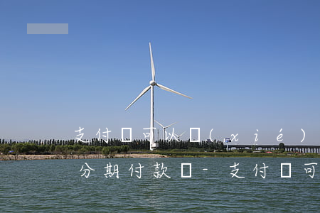 支付寶可以協(xié)商個(gè)性化分期付款嗎-支付寶可以申請(qǐng)協(xié)商還款嗎