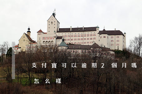 支付寶可以逾期2個月嗎(支付寶逾期2天會怎么樣)